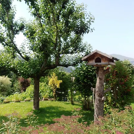 Eva Apartment Flachau