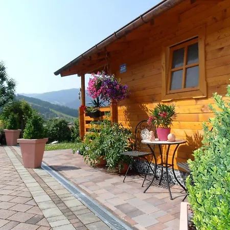 Apartmán Eva Flachau