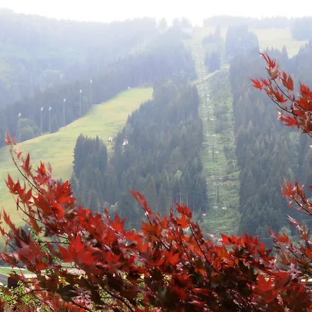 アパート Eva フラッハウ